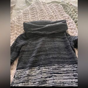 Express Turtleneck Dress